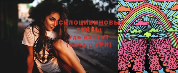 ALPHA PVP Покровск