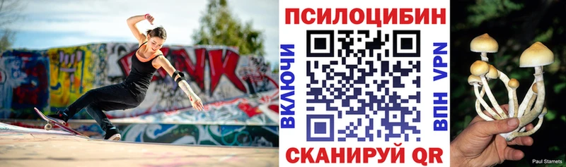 магазин    Спасск-Дальний  Галлюциногенные грибы ЛСД 