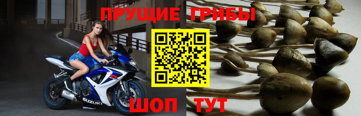 Псилоцибиновые грибы мухоморы  Спасск-Дальний 