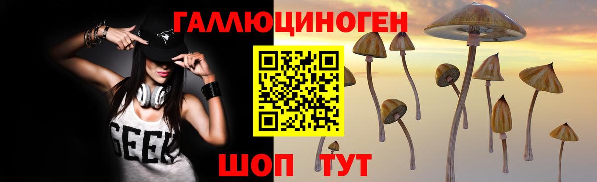 Псилоцибиновые грибы Psilocybine cubensis Спасск-Дальний